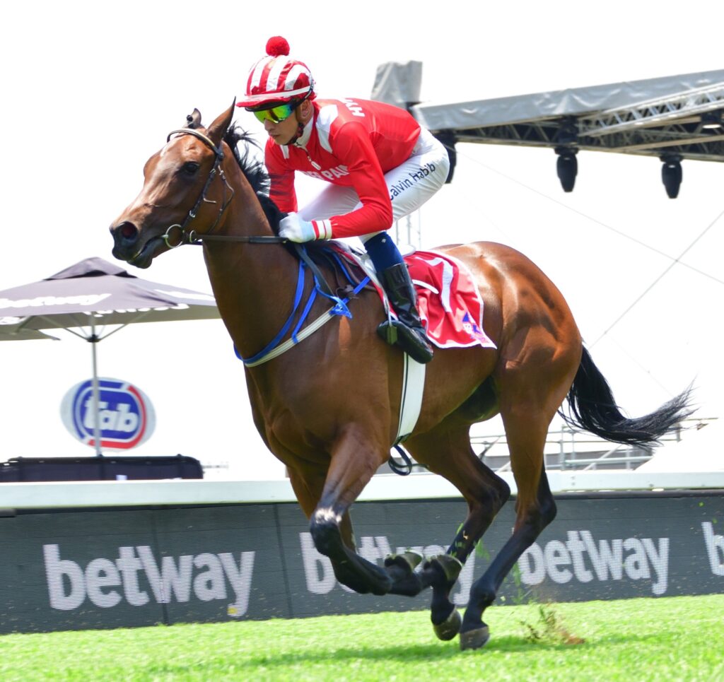 ALMOND SEA Picture: JC Photographics