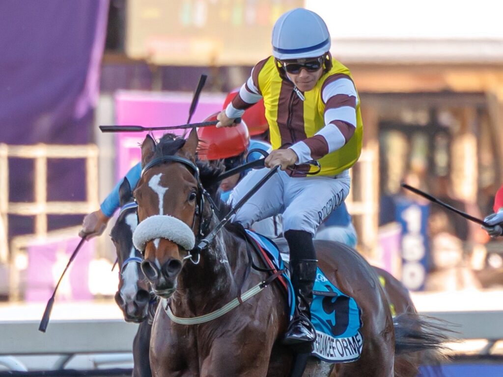 ANOTHERDANCEFORME Picture: Race Coast