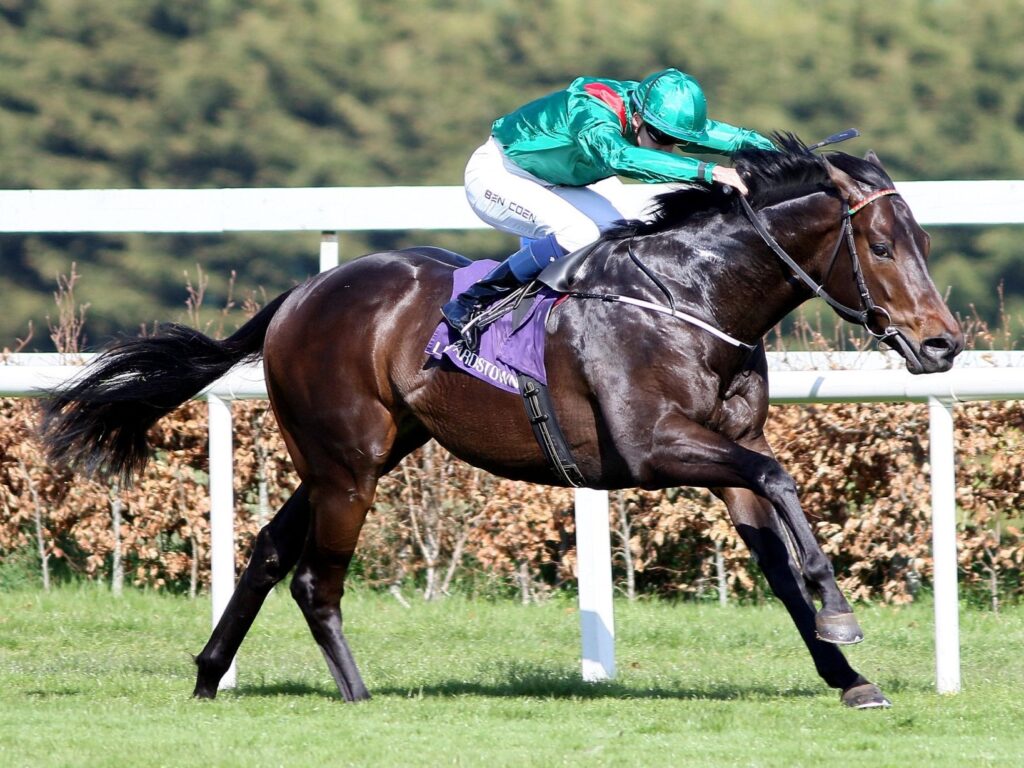 ALAKAZI Picture: Aga Khan Stables