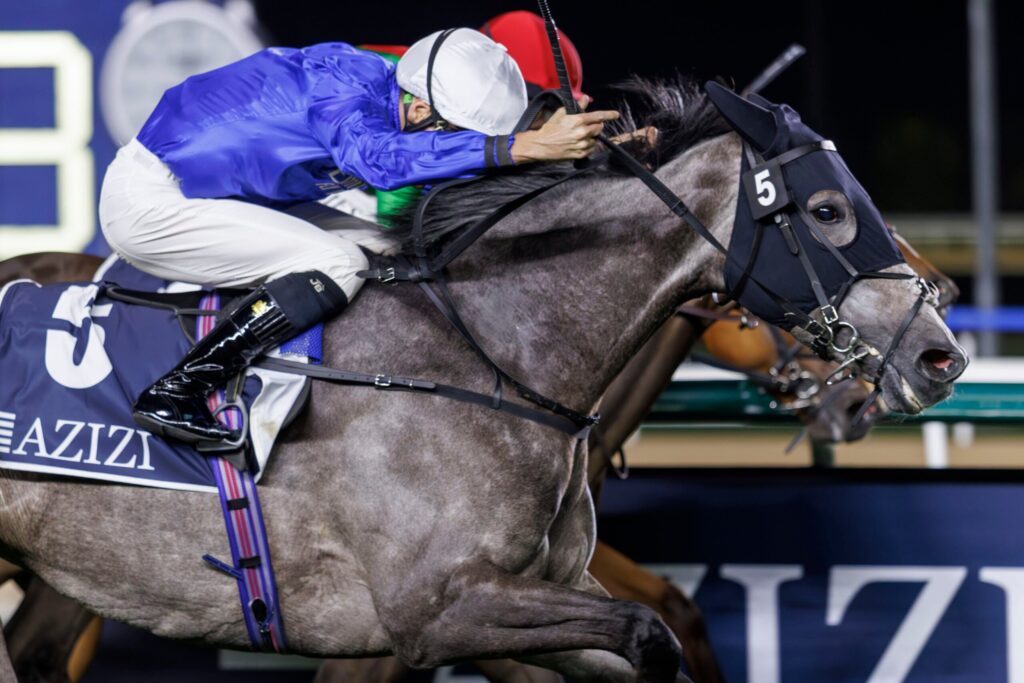 DUBAI BEACH CHASES A 2ND GRADE 2 WIN IN THE BALANCHINE STAKES AT MEYDAN Picture: Dubai Racing Club