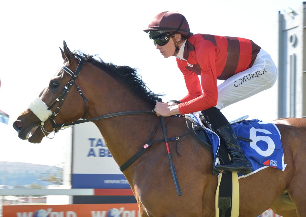 JAN VAN GOYEN WILL BE LOOKING FOR HIS THIRD GRADE 1 WIN IN THE HKJC WORLD POOL SA CLASSIC OVER 1800M AT TURFFONTEIN ON SATURDAY. Picture: JC Photographics