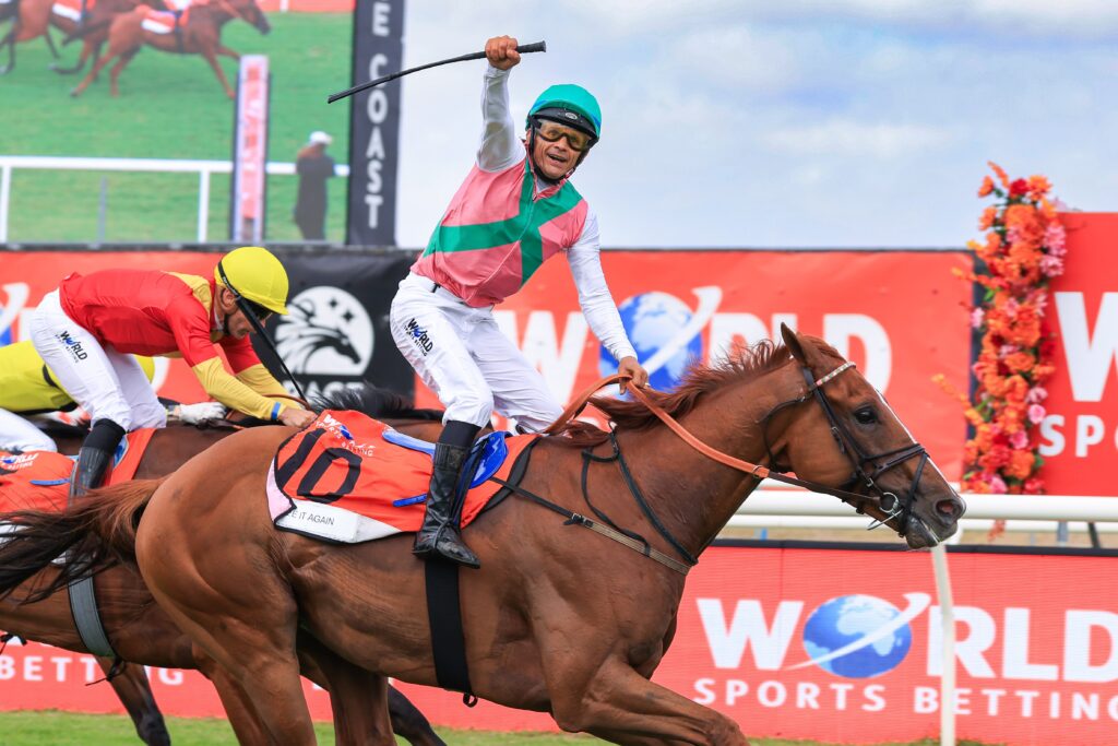 WSB CAPE MET WINNER SEE IT AGAIN WILL BE LINING UP IN SATURDAY'S G1 WILGERBOSDRIFT HF OPPENHEIMER HORSE CHESTNUT STAKES OVER 1600M AT TURFFONTEIN Picture: Wayne Marks