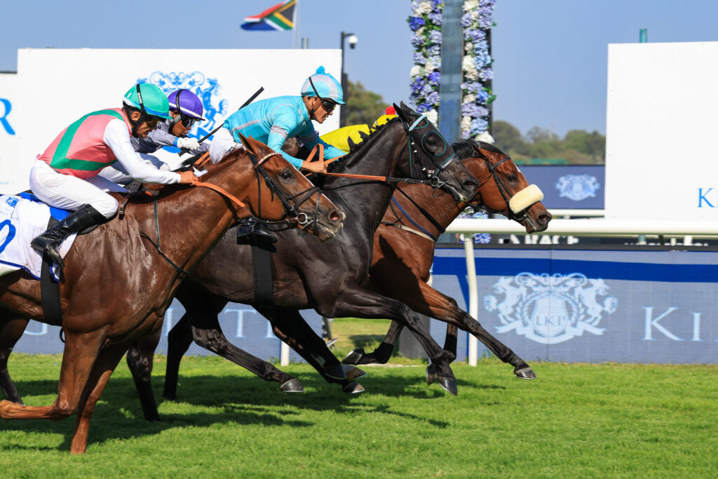THREE OF THE FIRST FOUR PAST THE POST IN THE L'ORMARINS KING'S PLATE, THE REAL PRINCE, SEE IT AGAIN AND SAIL THE SEAS, HAVE BEEN NOMINATED FOR THE G1 HF OPPENHEIMER HORSE CHESTNUT STAKES AT TURFFONTEIN ON SATURDAY 7 MARCH. Picture: Wayne Marks
