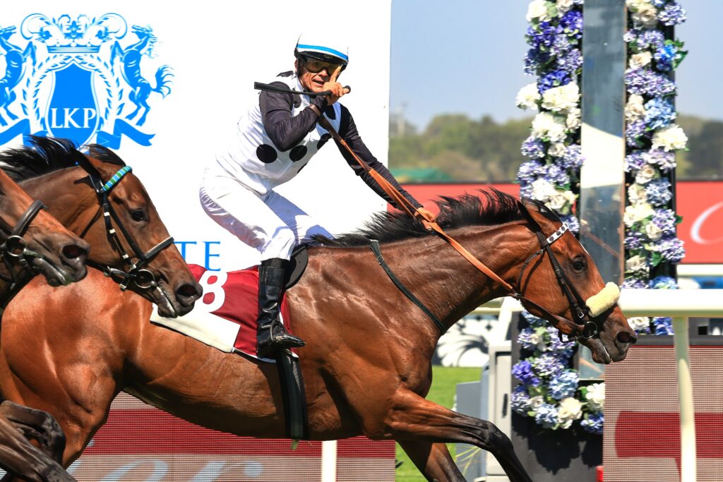 WISH LIST CAN ADD HER NAME TO A LIST OF ICONIC LUCK FISH CAPE DERBY CHAMPION AT HWB KENILWORTH ON SATURDAY. Picture: Wayne Marks