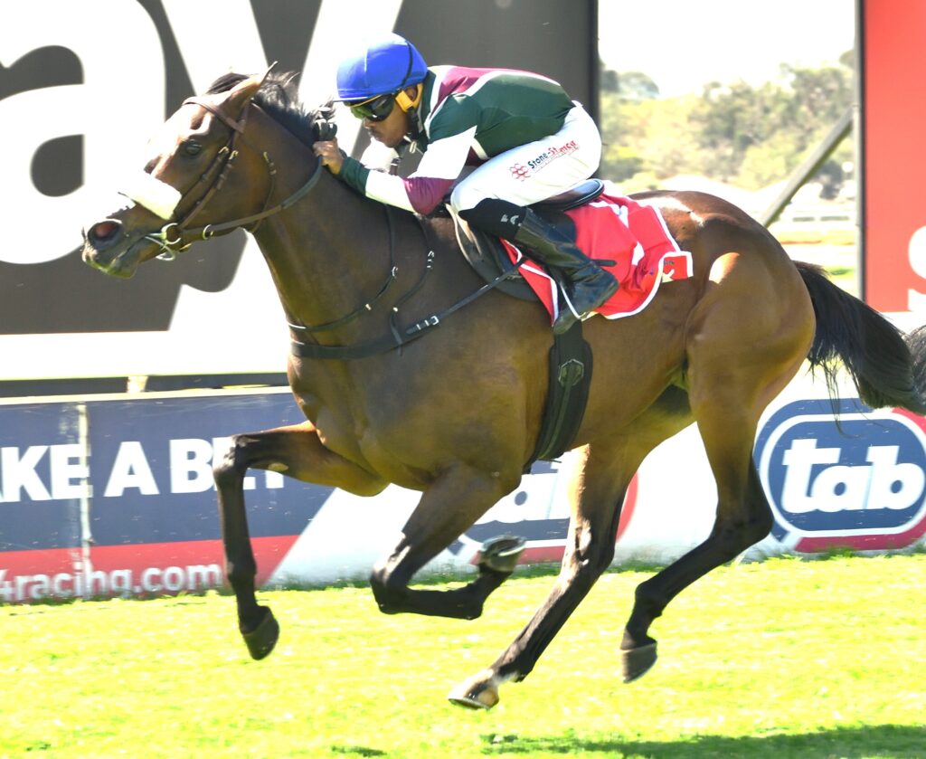ZALATORIS HAS STRONG CLAIMS IN THE GRADE 3 TAB NATIONAL CURRENCY SPRINT AT TURFFONTEIN ON SATURDAY. Picture: JC Photographics